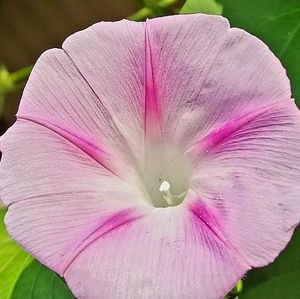 Meet your Posher, Cathy